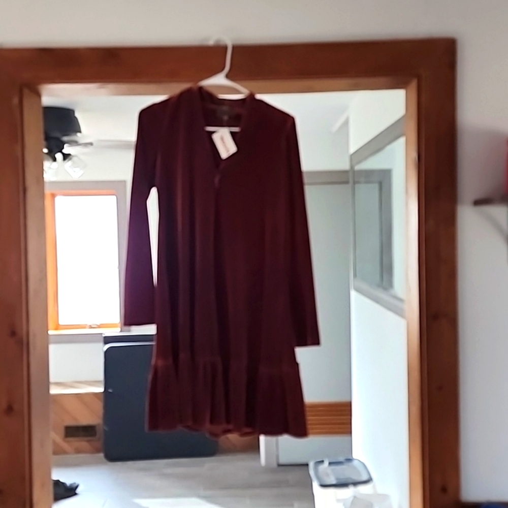 Brown Velvet Taylor dress